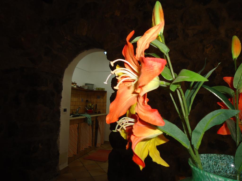 Agriturismo Zibibbodoro Scauri  Esterno foto