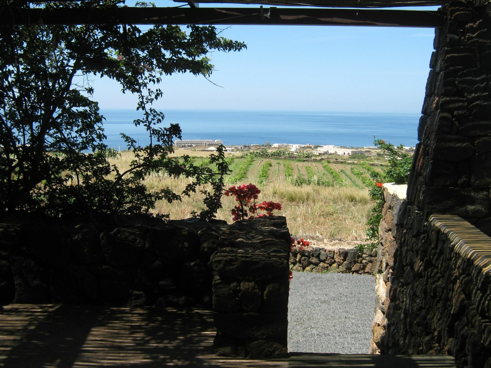 Agriturismo Zibibbodoro Scauri  Esterno foto