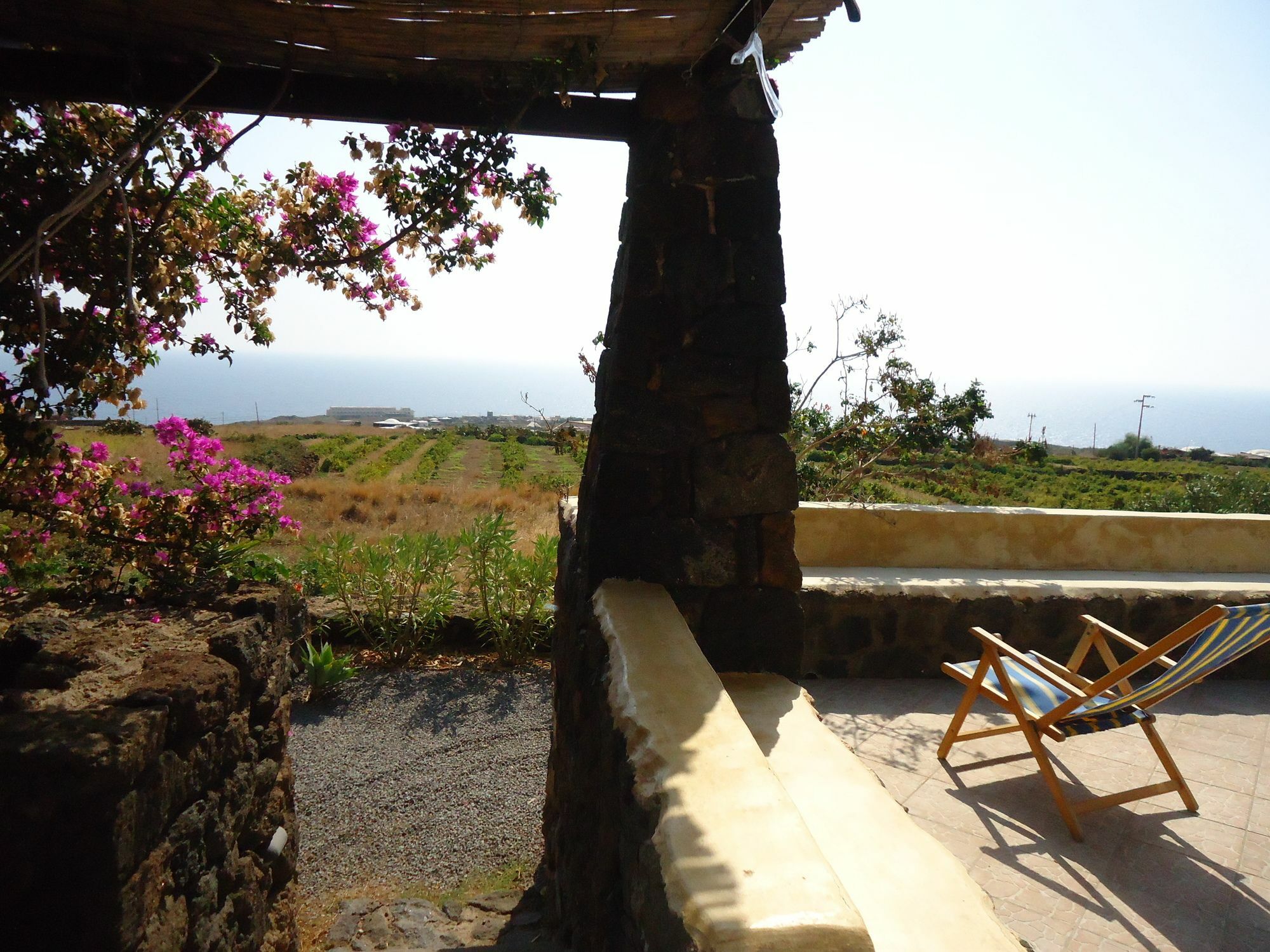 Agriturismo Zibibbodoro Scauri  Esterno foto