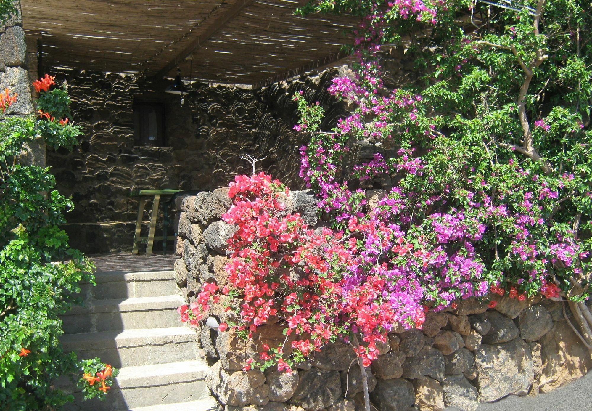 Agriturismo Zibibbodoro Scauri  Esterno foto