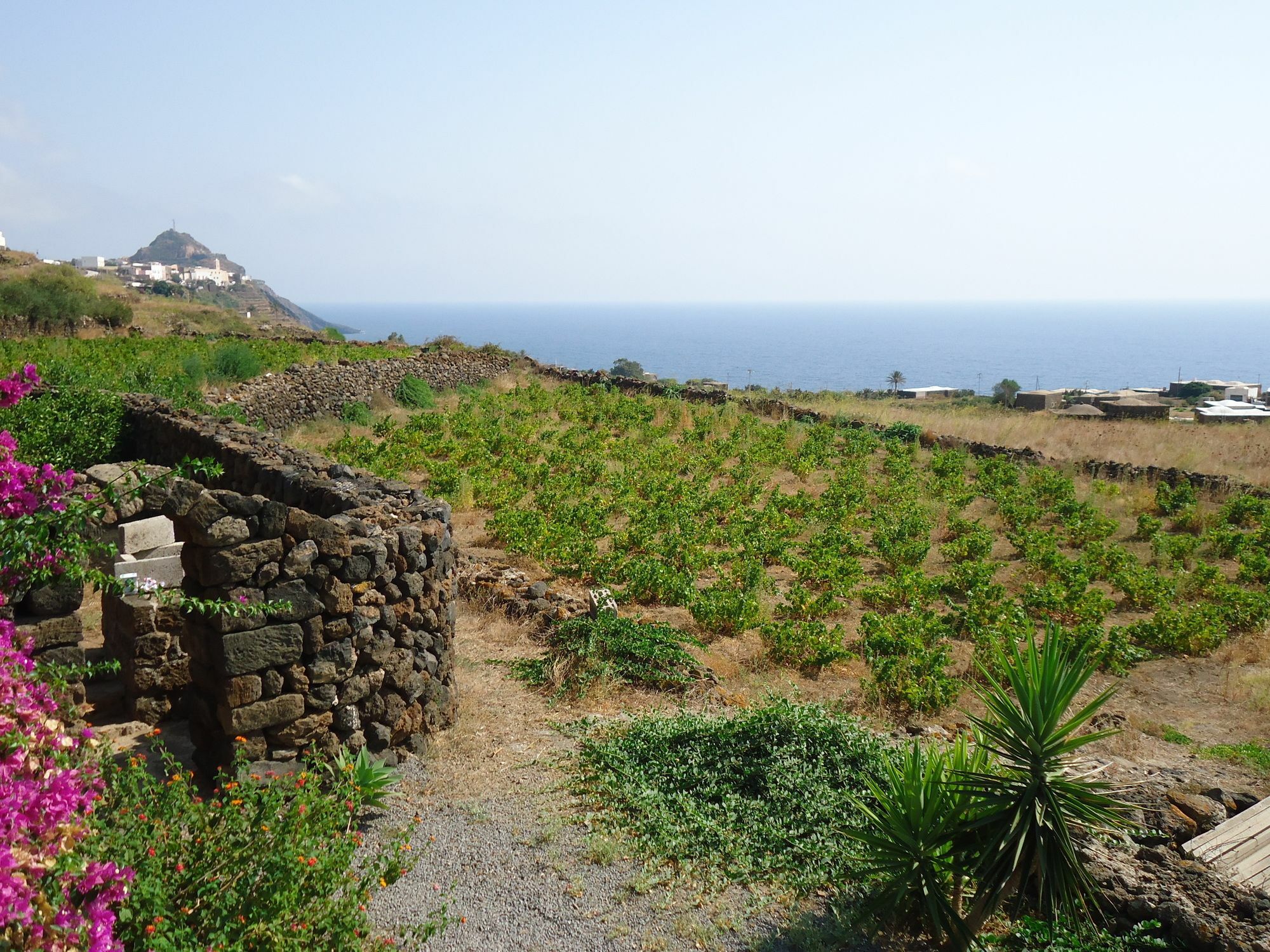 Agriturismo Zibibbodoro Scauri  Esterno foto