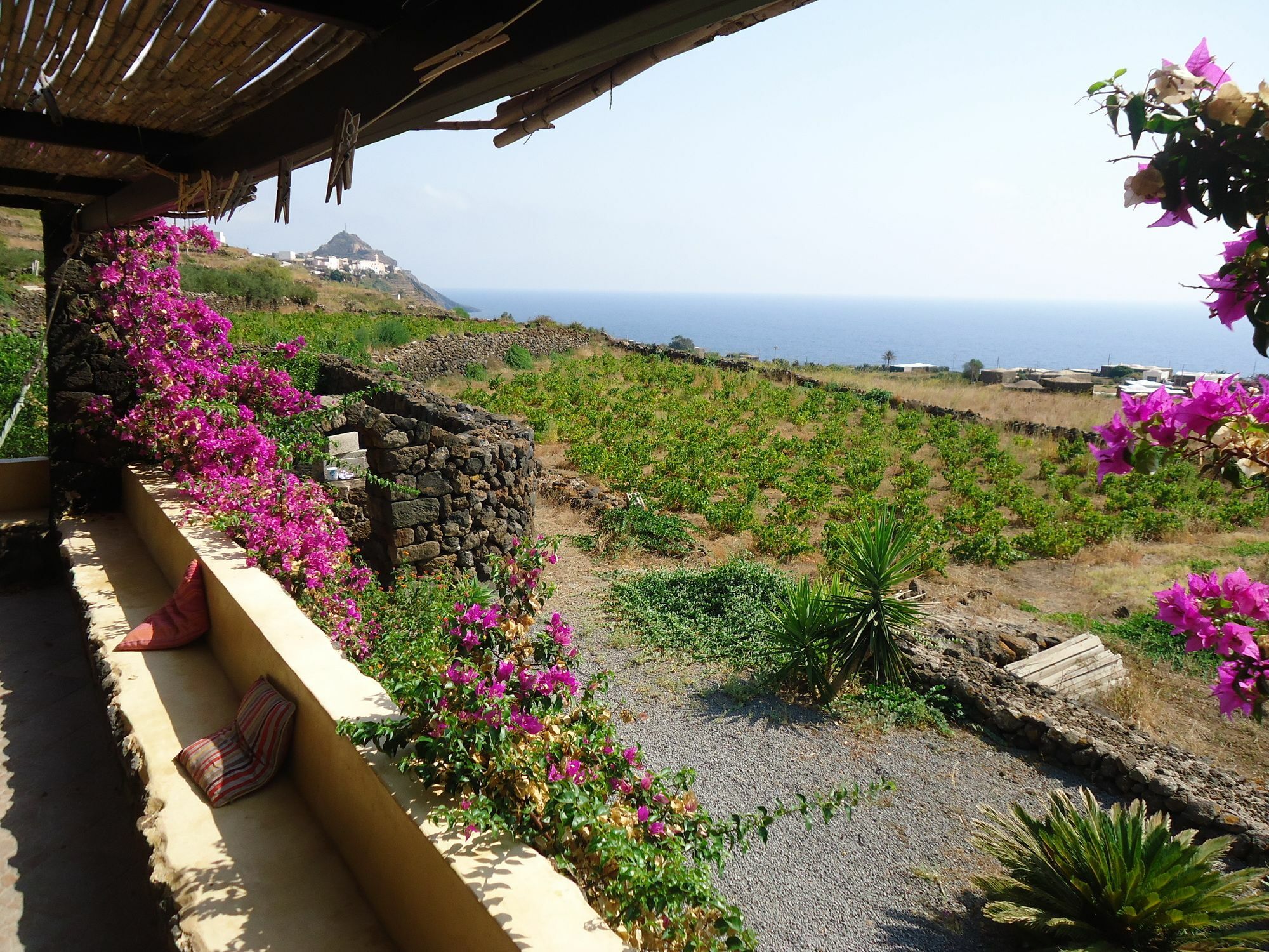 Agriturismo Zibibbodoro Scauri  Esterno foto